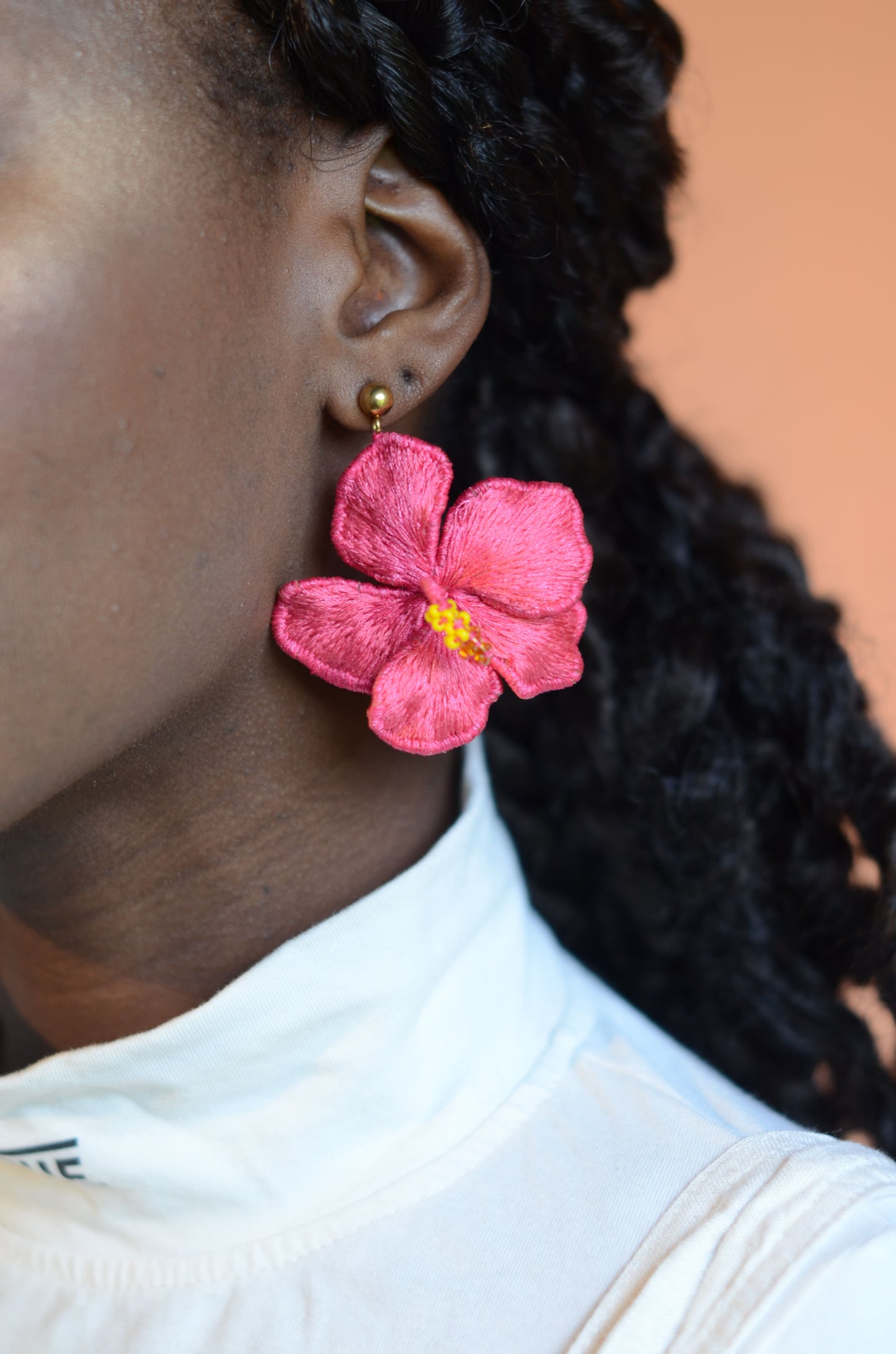 Aretes Cayena