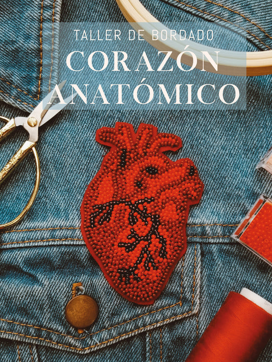 Taller de Bordado - Corazón Anatómico - VIRTUAL
